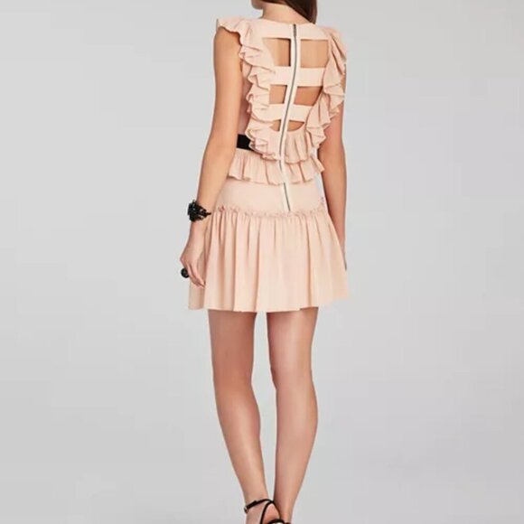 BCBGMaxAzria SZ6 Britt Bare Pink Flowy Dress Cut Outs Fairy Coquette Party - Picture 5 of 14